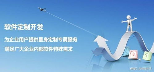 城市路基橋梁健康在線安全監(jiān)測(cè)系統(tǒng) 一體化軟件解決方案與外包服務(wù)